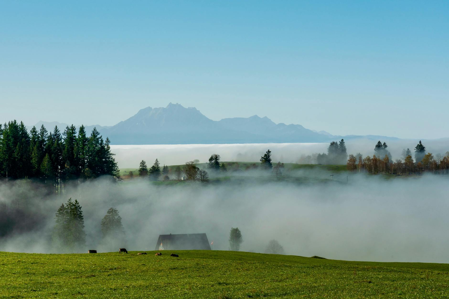 Karadeniz Yaylalarının Saklı Cennetleri: 7 Yayla, 7 Farklı Hikâye