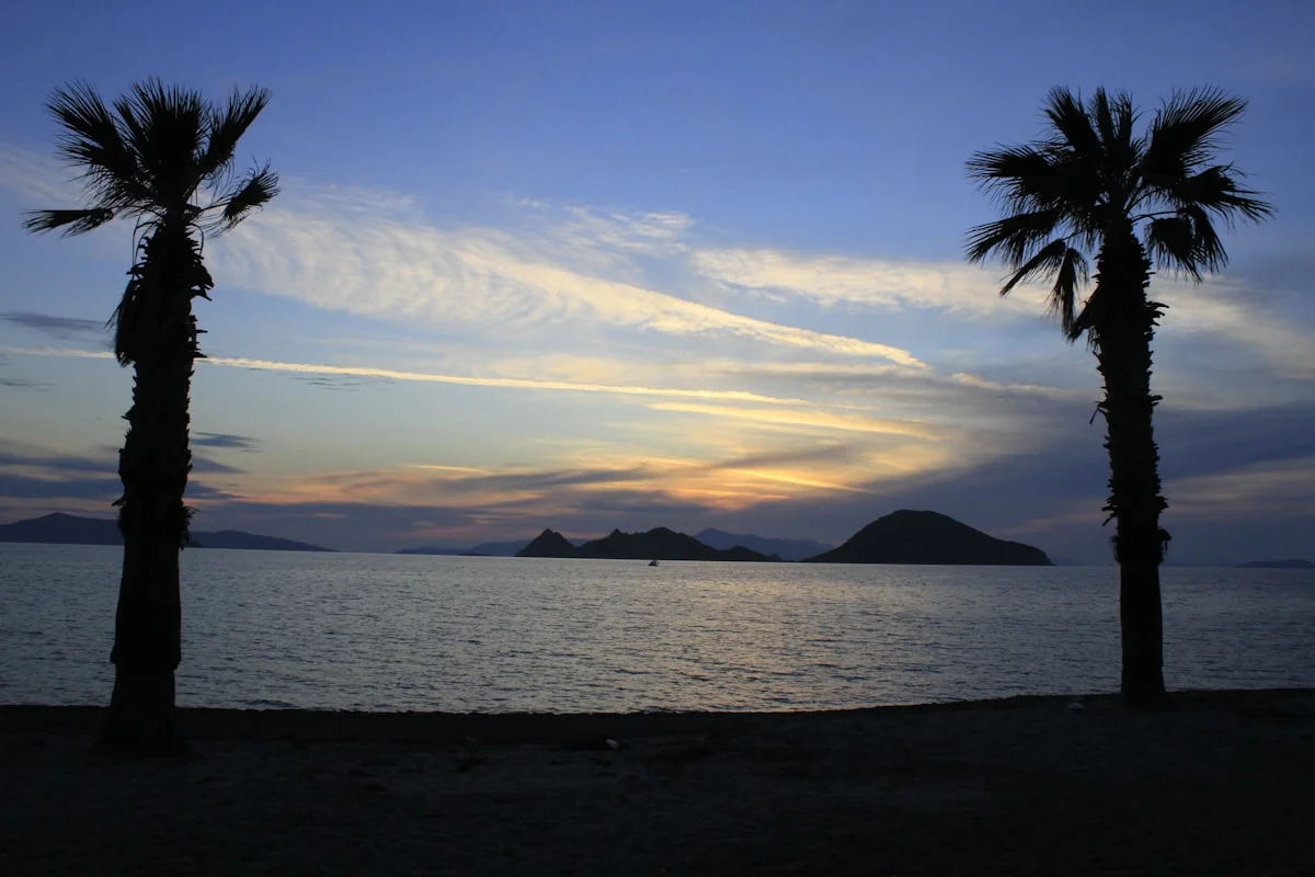 Bitez Gezi Rehberi: Bodrum'un Mandalina Bahçeli Sakin Plaj Beldesi