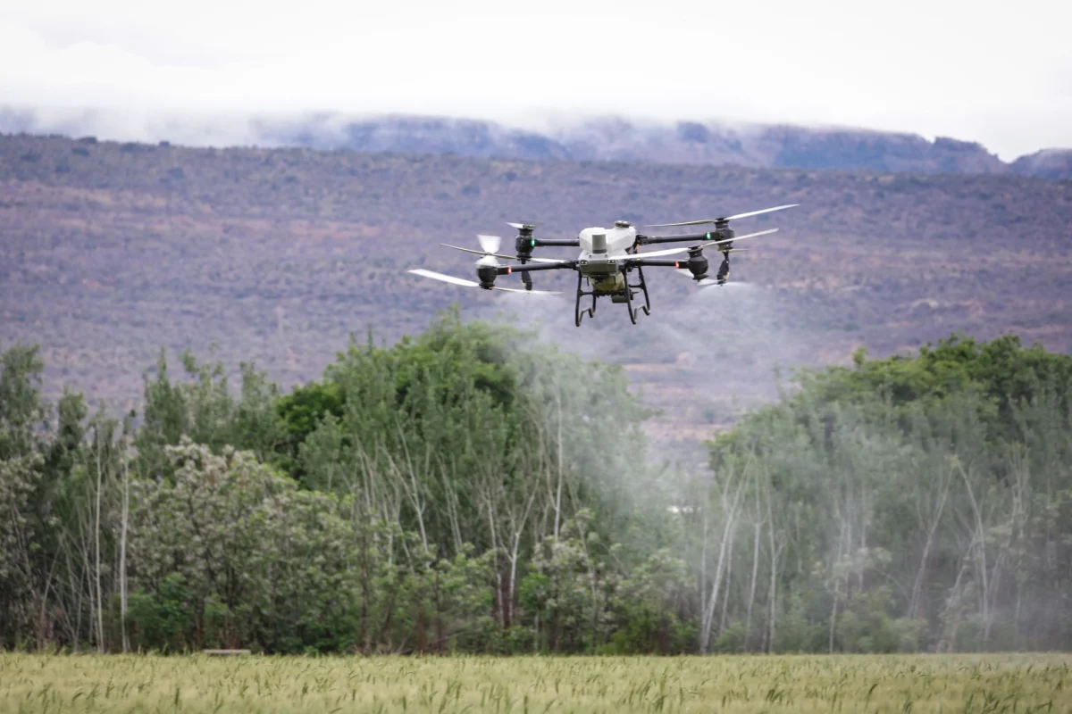 Drone ile tarımsal ilaçlama hizmeti: nasıl yapılır, avantajları ve firma seçimi