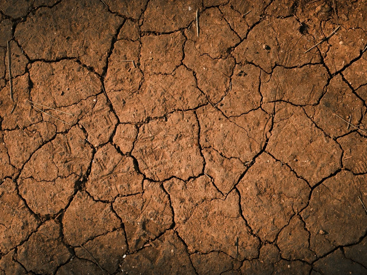 Ege'de Hareketli Saatler: Aydın Depremi Sonrası Uzmanlar Ne Diyor?