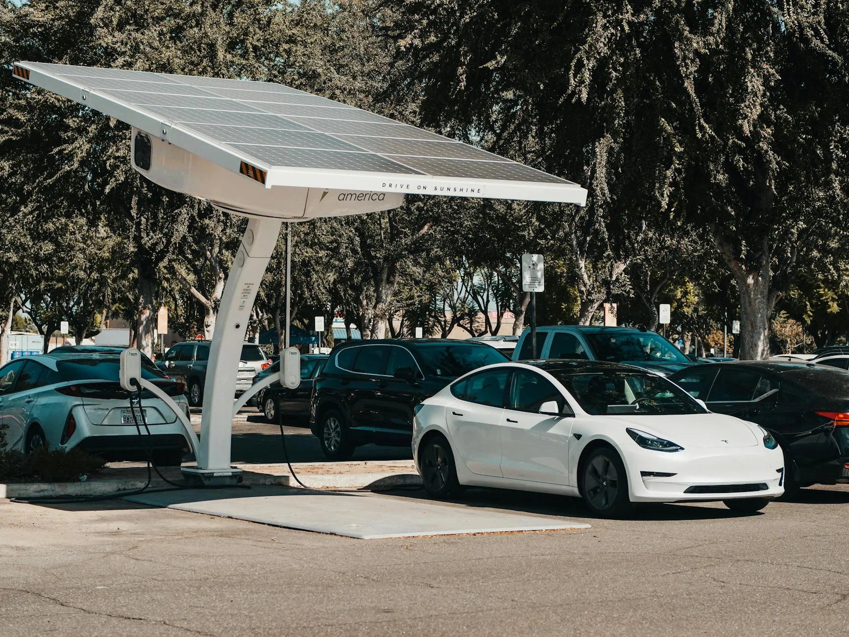 Elektrikli Araç İhracatında Kartlar Yeniden Dağıtılıyor: BYD ve Tesla Arasındaki Makas Açılıyor
