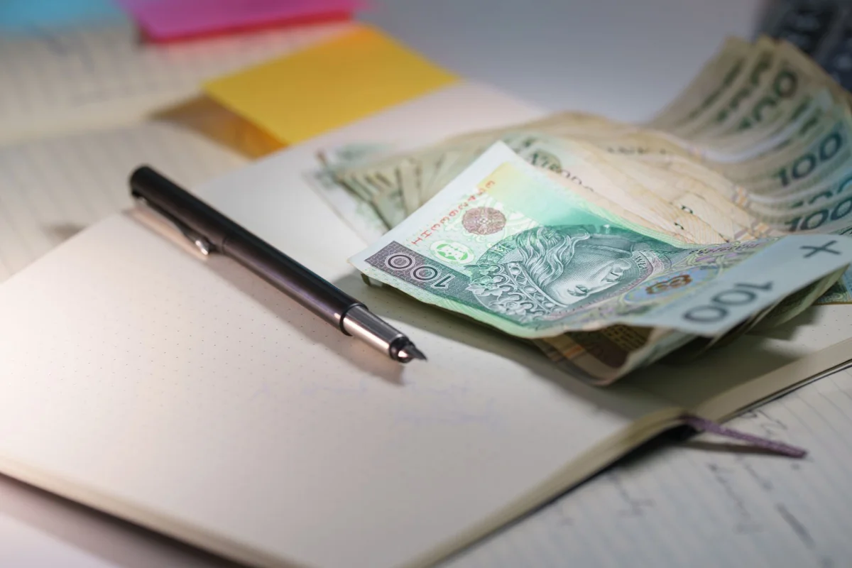 Girişimciler Dikkat! Limited mi Anonim mi? Şirket Kurulumunda Cebinize En Uygun Seçim Hangisi?