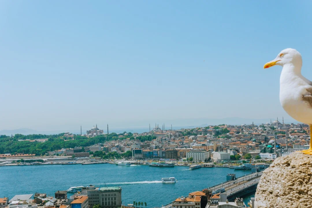 İstanbul Hava Durumu: Son 5 Yılda Neler Değişti? Sıcaklık, Yağış ve AQI Verileri