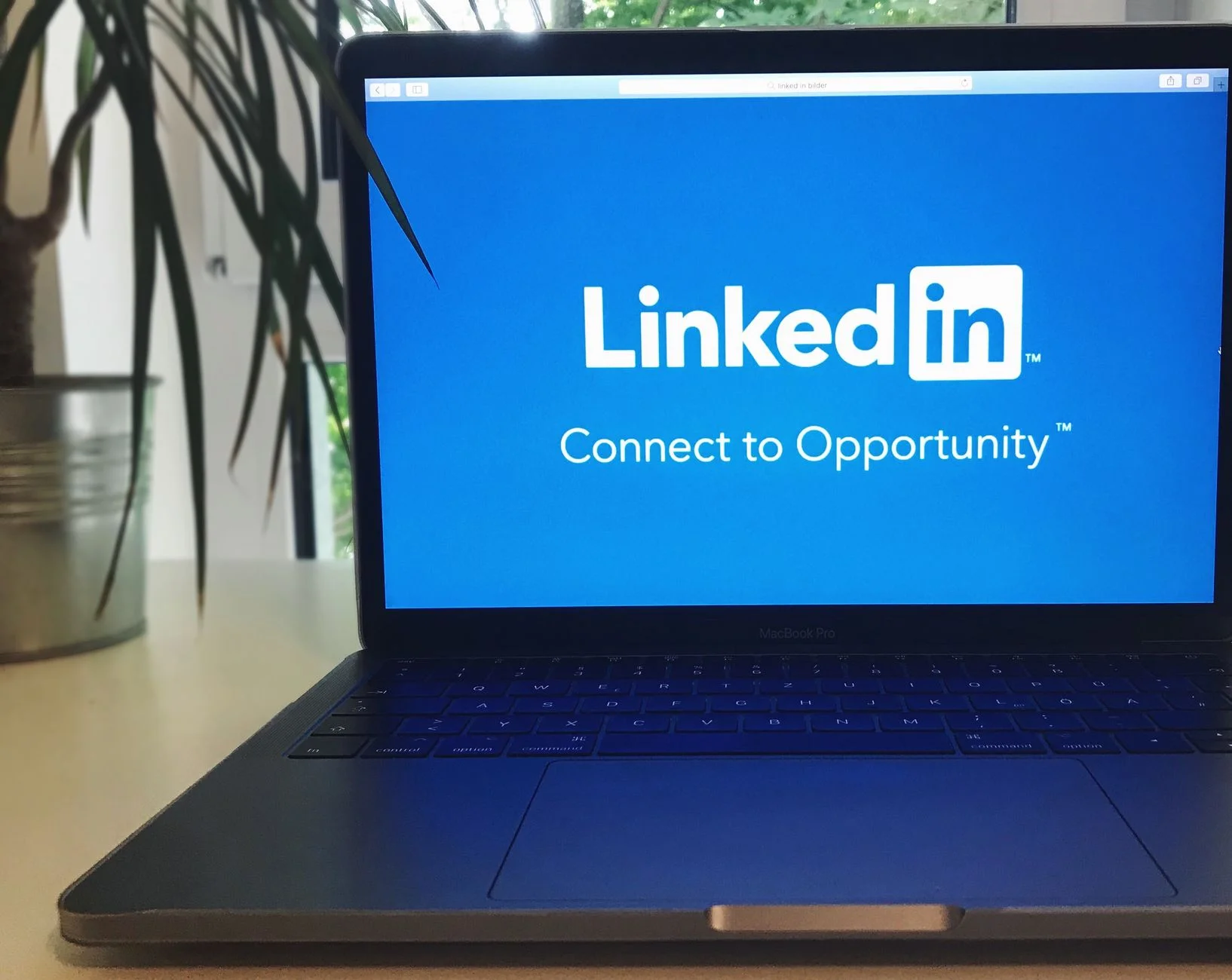 Kariyer Kapılarını Aralamak: CV ve LinkedIn'de Yapılan Kritik Hatalar ve Çözümleri