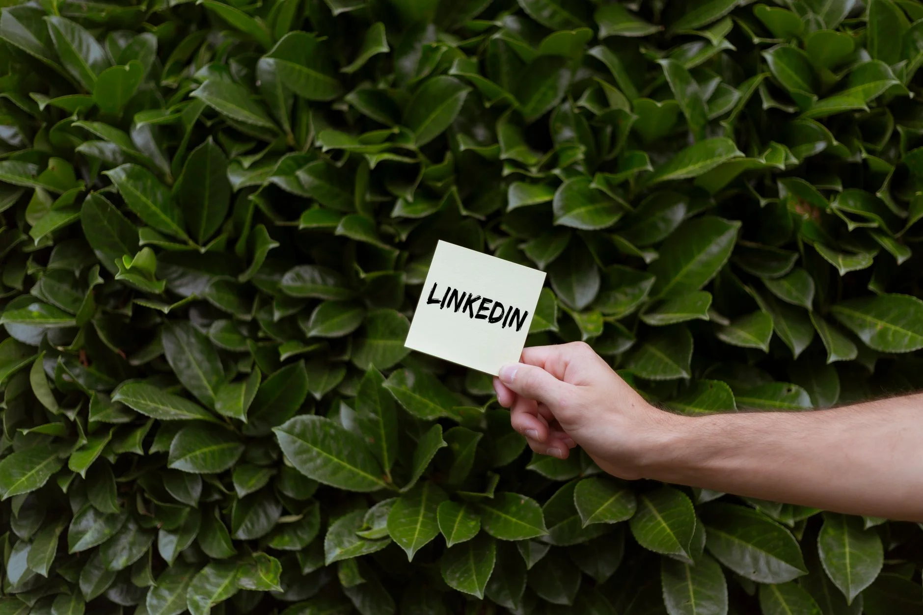 Kariyerinizi Uçuracak İpuçları: CV ve LinkedIn'i Birleştirme Rehberi