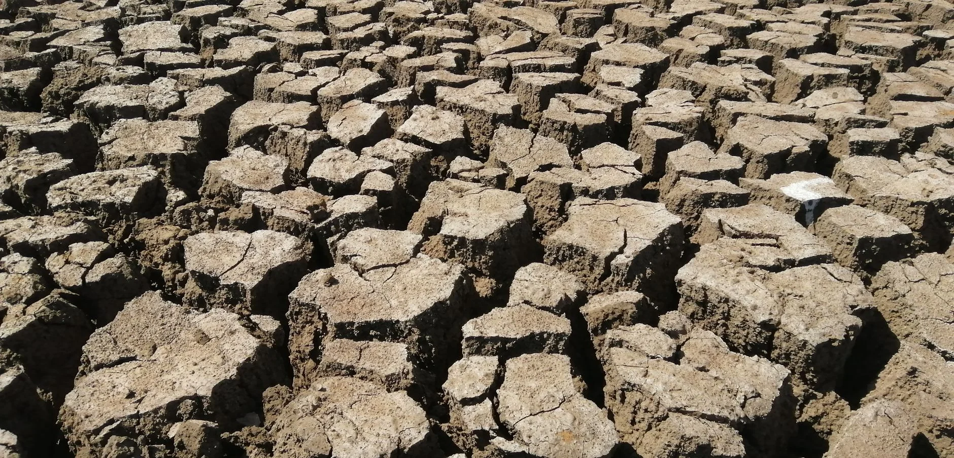 Kuraklık Faturası: İngiltere'den Gelen 'Dalgalı Fiyat' Modeli, Türkiye'deki Su Yönetimi ve WaterTech Startup'larını Nasıl Dönüştürecek? (2026)